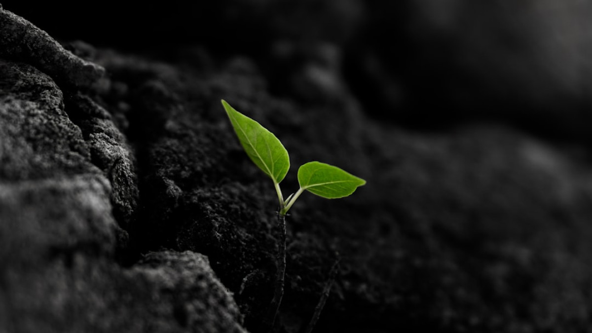 Unlocking Spiritual Growth: The Transformative Benefits of Taraweeh Prayers