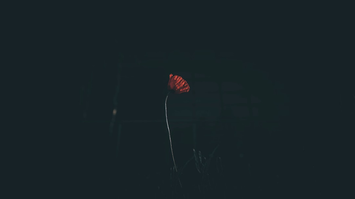 Top Duas for Tranquil Ramadan Nights: A Guide with Translations