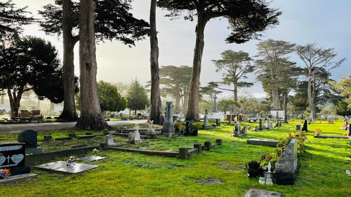 a cemetery with many headstones and trees